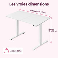 Bureau assis-debout électrique : caractéristiques