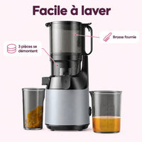 Extracteur de jus vertical : caractéristiques