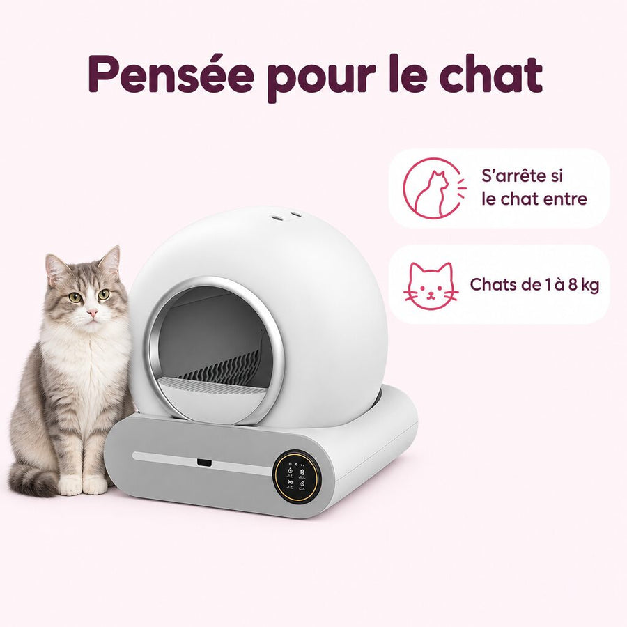 Elle s'arrête s'il entre