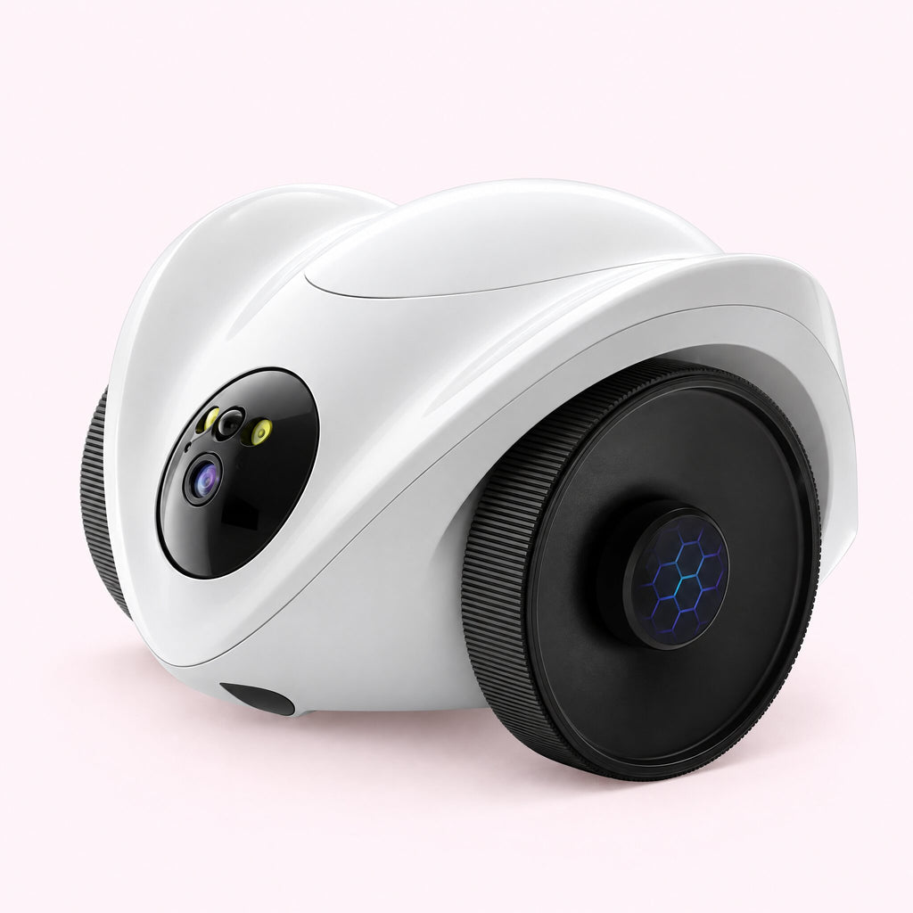 Robot compagnon pour chat