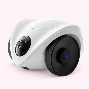 Robot compagnon pour chat