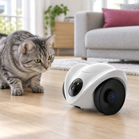 Robot compagnon pour chat en situation