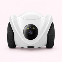 Robot compagnon pour chat, vue détaillée