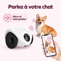 Robot compagnon pour chat : caractéristiques