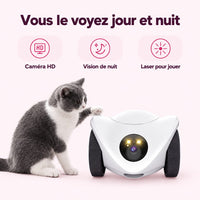 Robot compagnon pour chat : caractéristiques