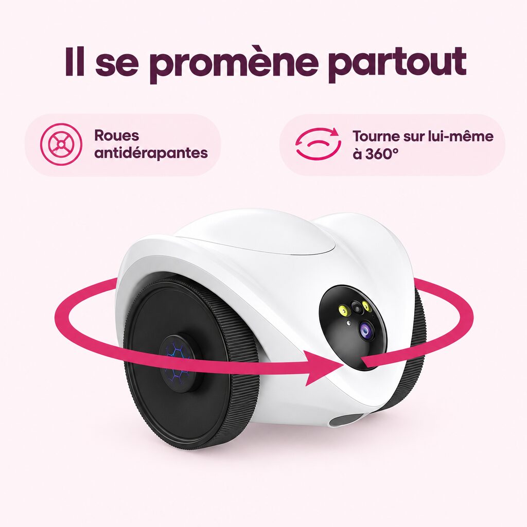 Robot compagnon pour chat : caractéristiques