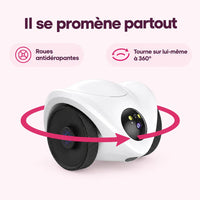 Robot compagnon pour chat : caractéristiques